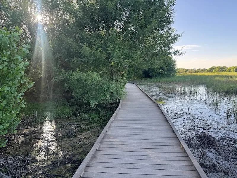 View of Watersong Wild Space in Midland, TX