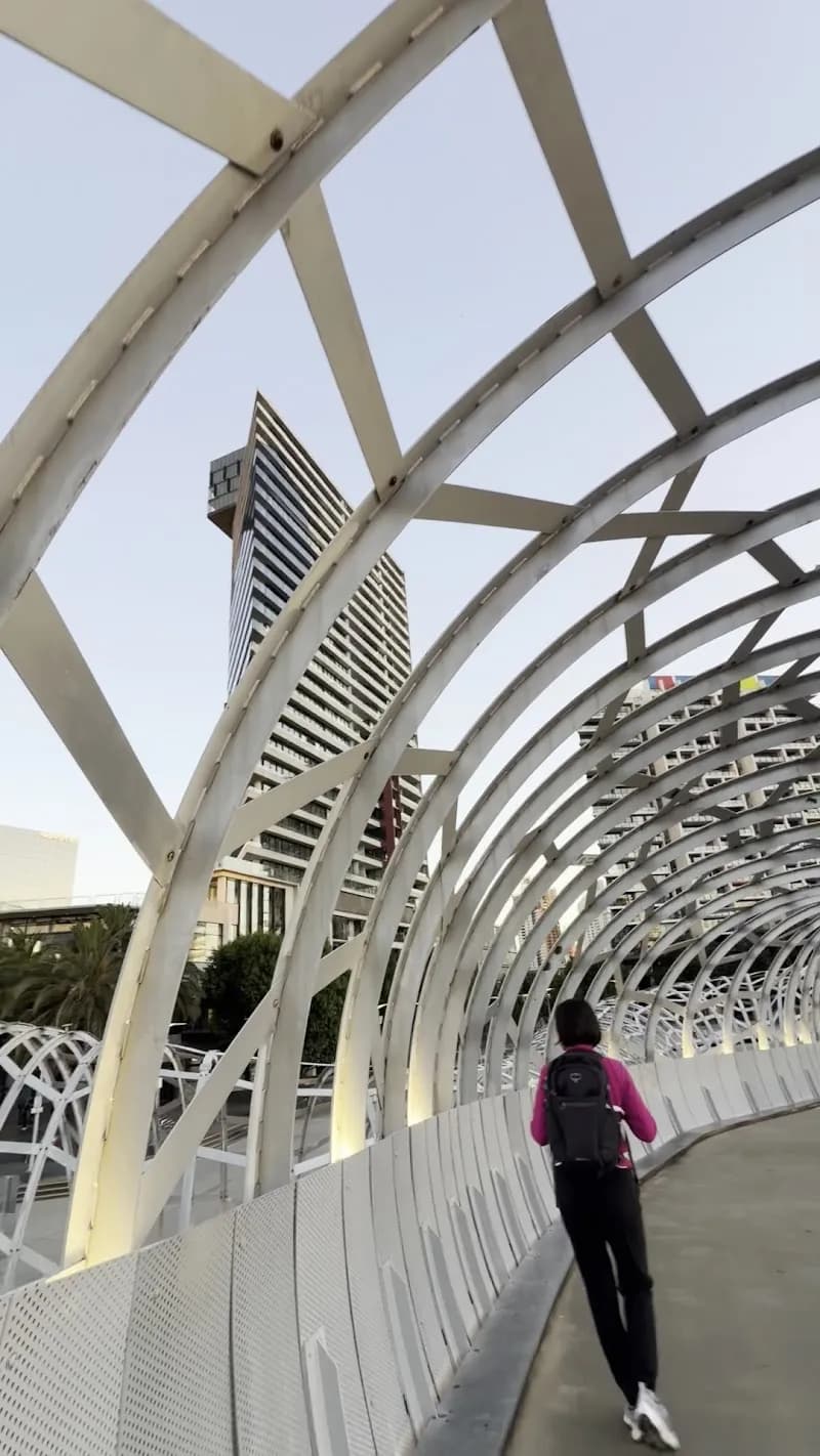 View of Webb Bridge in Docklands, VIC