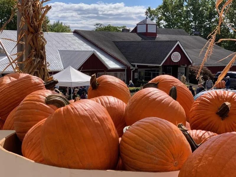 View of Weber's Cider Mill Farm Inc in Ocala, FL