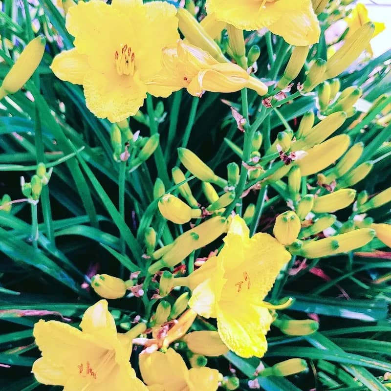 View of Weddington Swim & Racquet Club in Weddington, NC