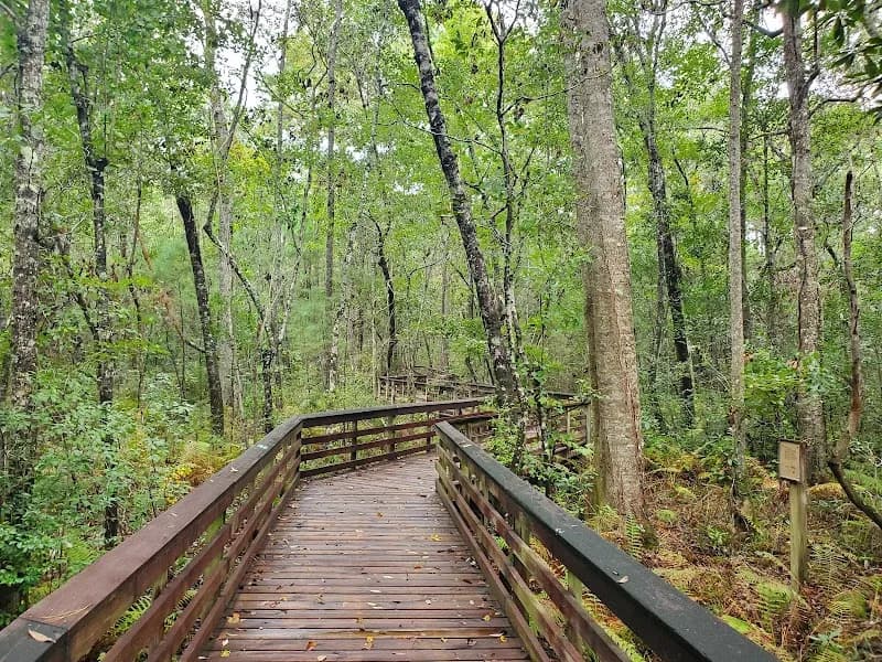 View of Weeks Bay National Estuarine Research Reserve in Valley Head, AL