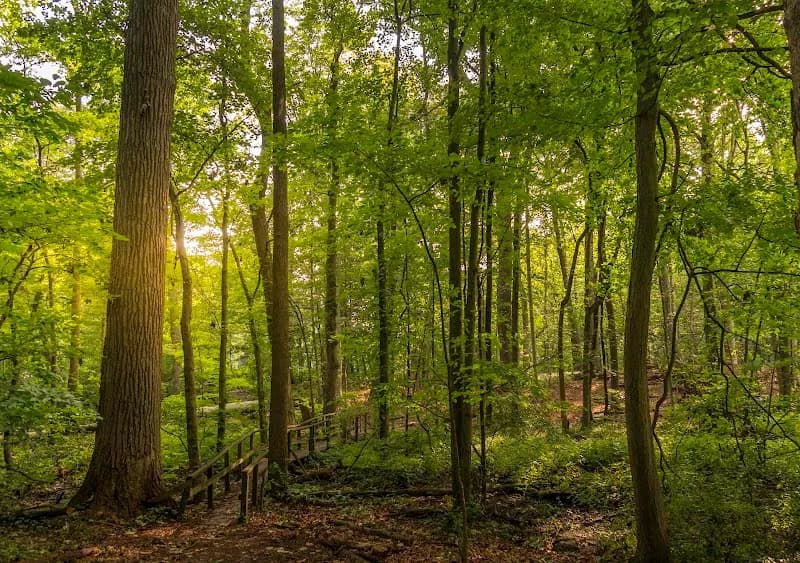 Weinberg Nature Center nature preserve in Scarsdale, NY