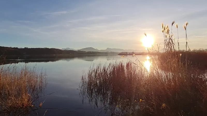 View of Wenger Moor in Henndorf am Wallersee, Salzburg