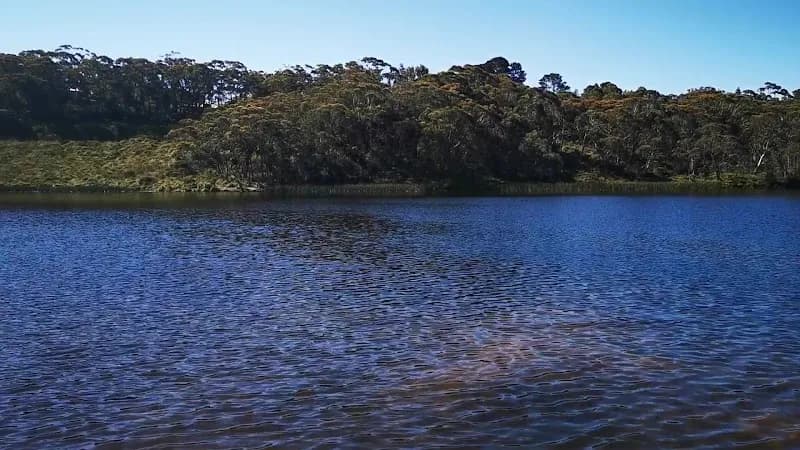 View of Wentworth Falls Lake in Blue Mountains, NSW