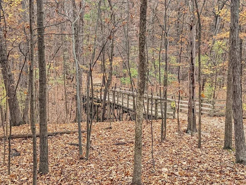 View of West Bloomfield Woods Nature Preserve in West Bloomfield, MI