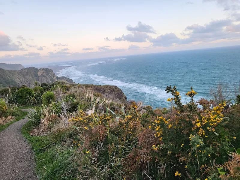 View of West Coast Bush Walk in Piha, AKL