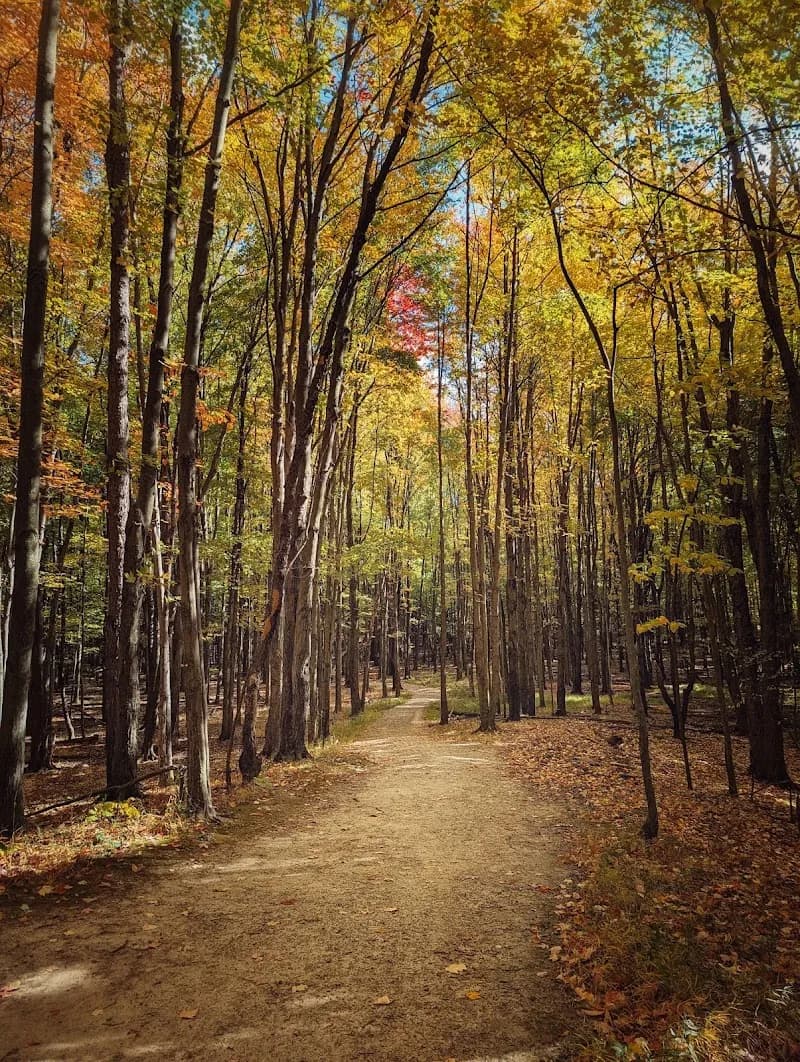 View of West Creek Reservation in Parma, OH