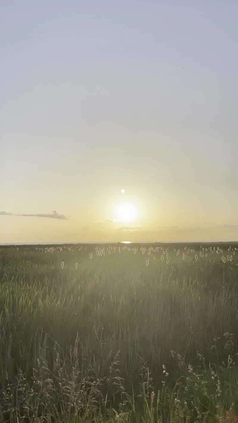 View of West Dyke Trail in South Delta, BC