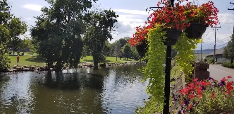 View of West Prong Little Pigeon River in Pittman Center, TN
