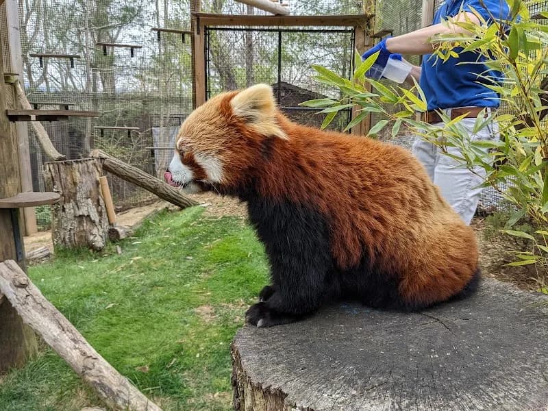View of Western North Carolina Nature Center in Asheville, NC