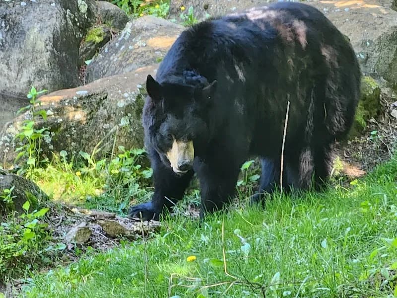 View of Western North Carolina Nature Center in Asheville, NC