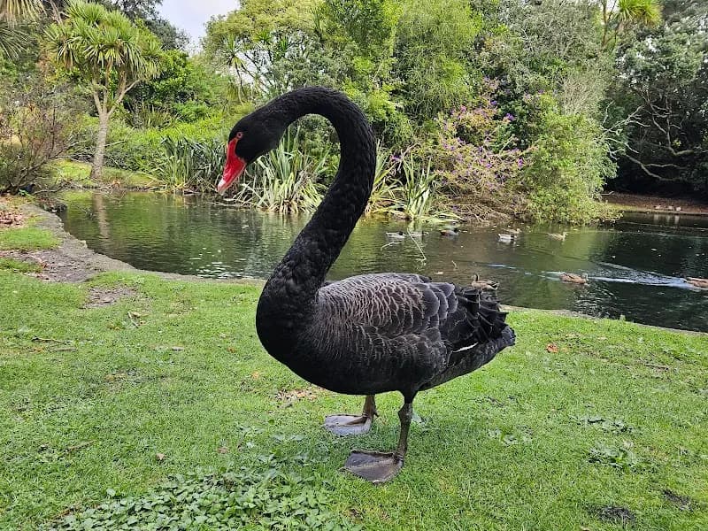 View of Western Springs Park in Auckland, AKL