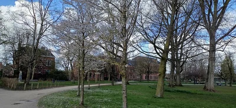 View of Westerpark in Amstelveen, NH