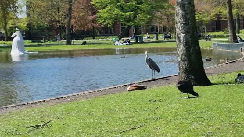 View of Westerpark in Amstelveen, NH