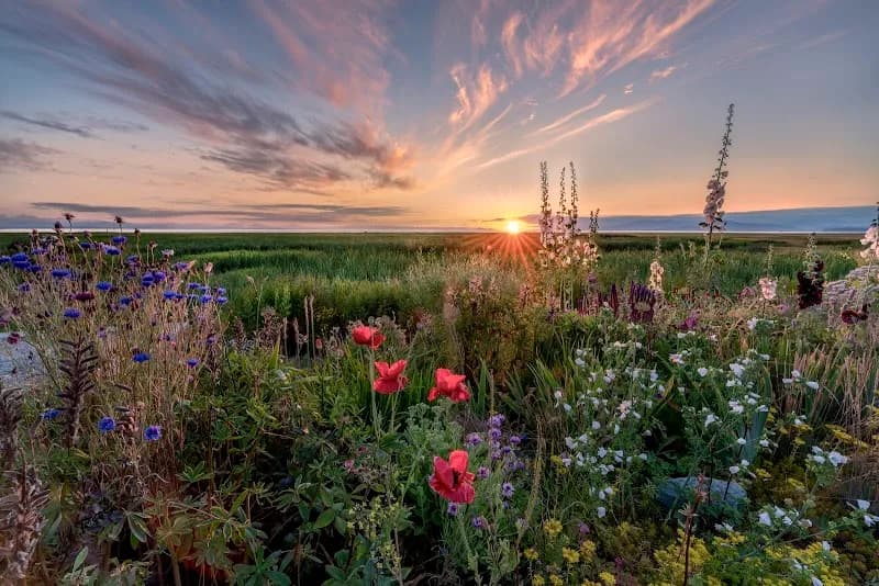 View of Westham Island Dyke Trail in South Delta, BC