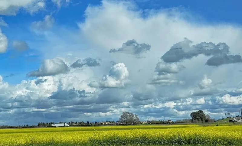 View of Westlake Village Shopping Center in Natomas, CA