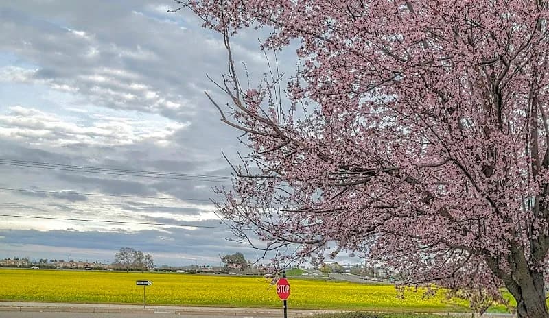 View of Westlake Village Shopping Center in Natomas, CA