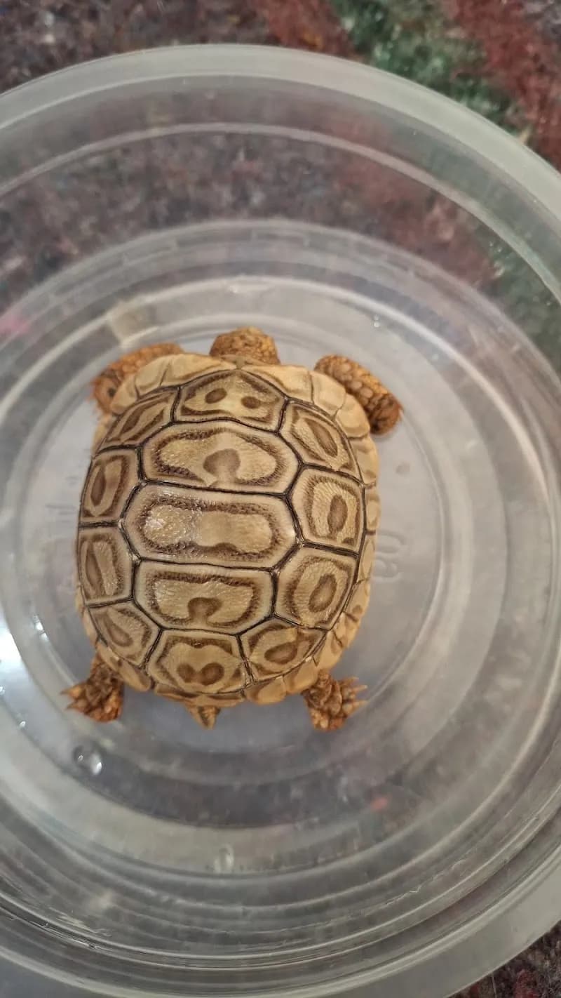 View of Westlands Veterinary Clinic & Pet Park in Westlands, Nairobi