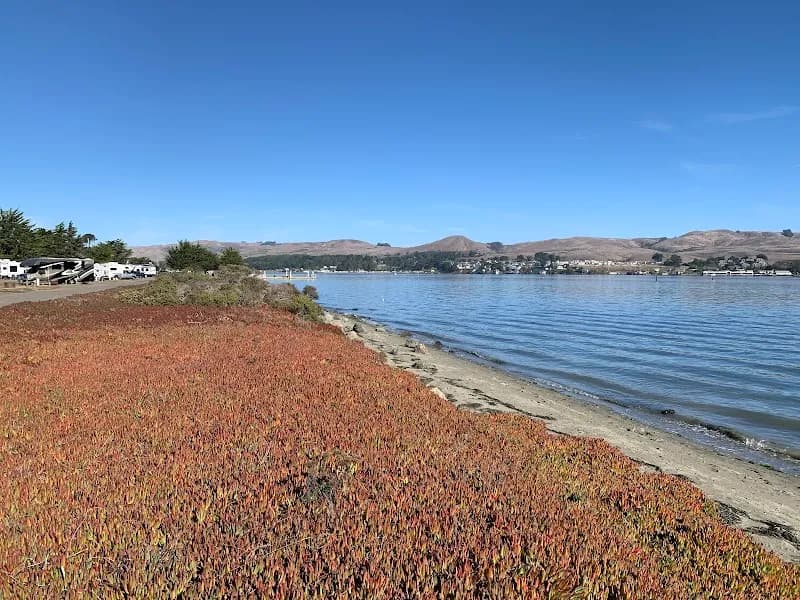 Westside Regional Park and Campground park in Port Allen, LA