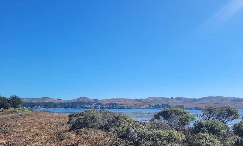 View of Westside Regional Park and Campground in Port Allen, LA