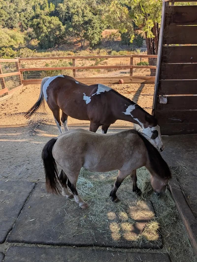 View of Westwind Community Barn in Los Altos Hills, CA