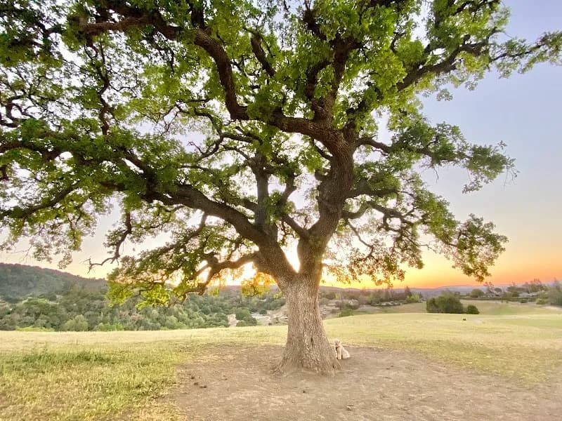 View of Westwind Community Barn in Los Altos Hills, CA