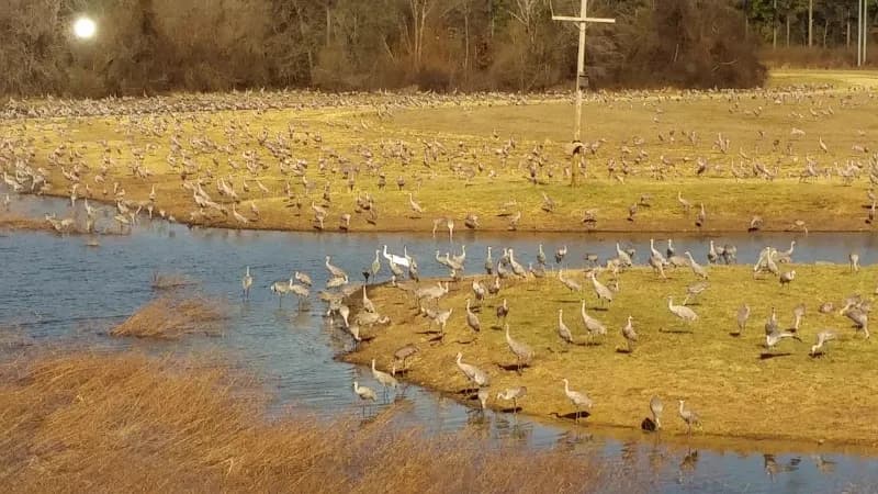 View of Wheeler National Wildlife Refuge Visitor Center in Moulton, AL