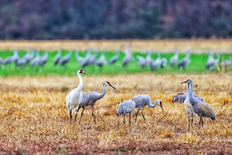 View of Wheeler National Wildlife Refuge Visitor Center in Moulton, AL