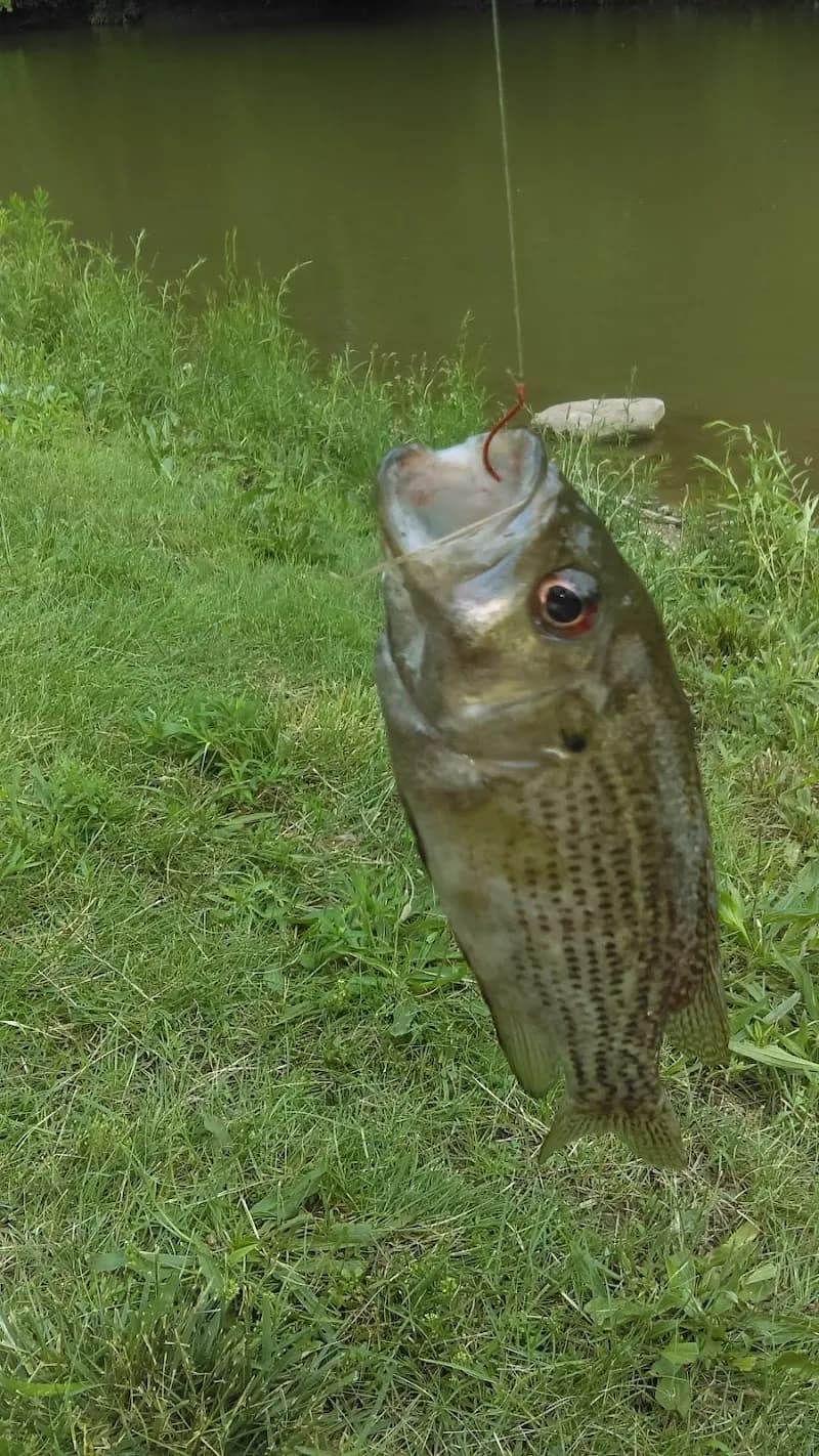 View of White River Greenway in Muncie, IN