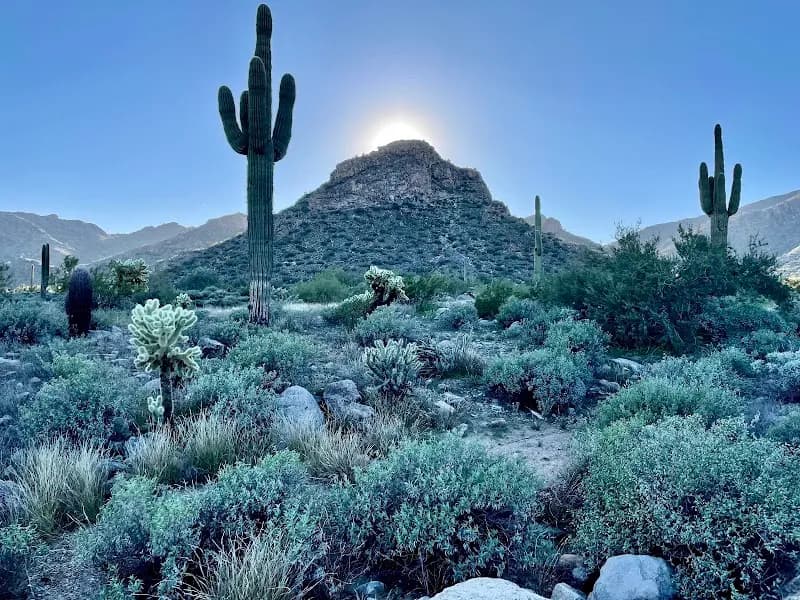 View of White Tank Mountain Regional Park in Surprise, AZ