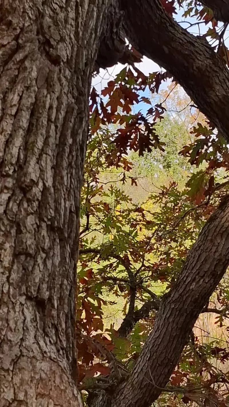 View of Whitehouse Nature Center in Brooklyn, MI