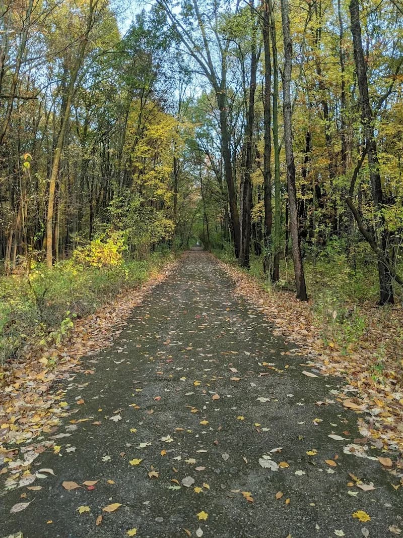 View of Whitehouse Nature Center in Brooklyn, MI