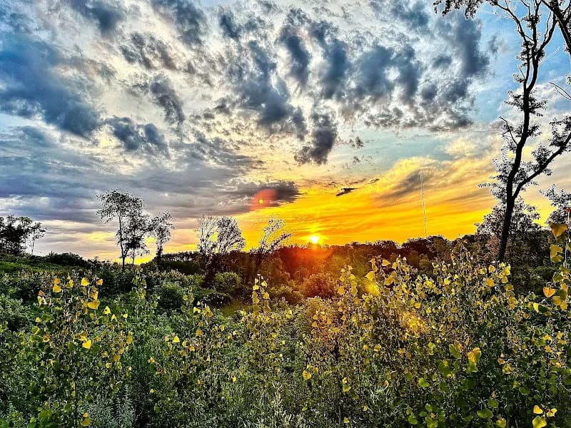 View of Whitetail Woods Regional Park in Lakeville, MN