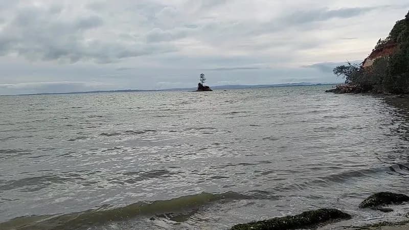 View of Āwhitu Regional Park in Waiuku, AKL
