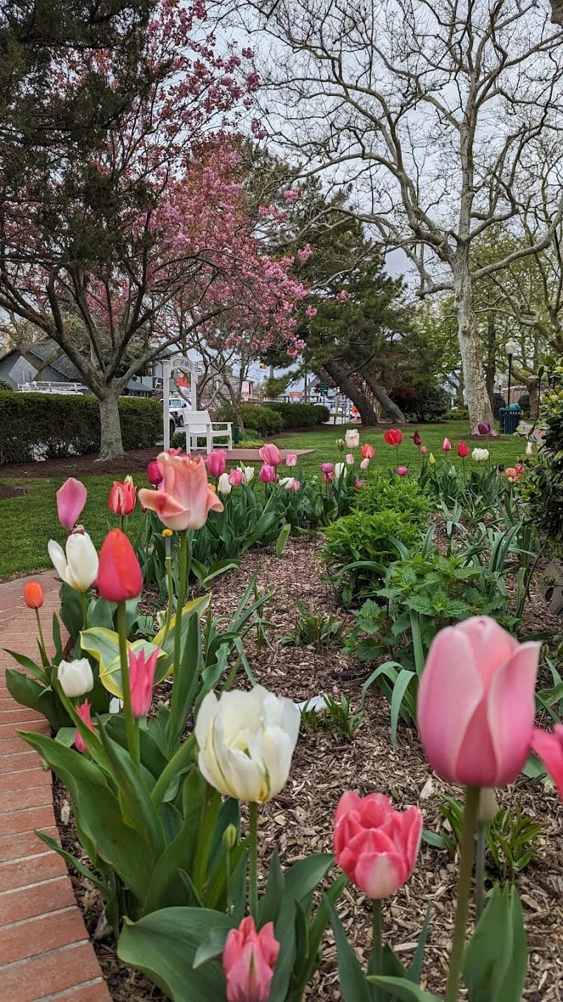 View of Wilbraham Park in Cape May, NJ