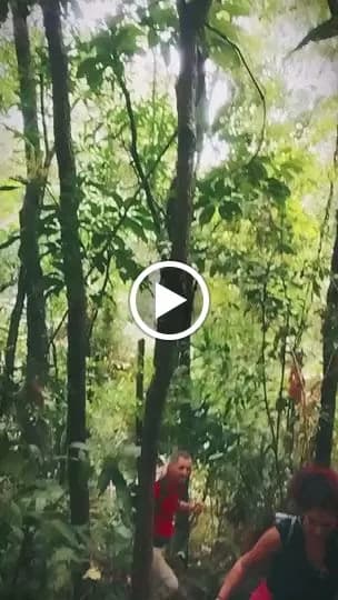 View of Wild Adventures Chiang Mai in Chiang Mai, CM