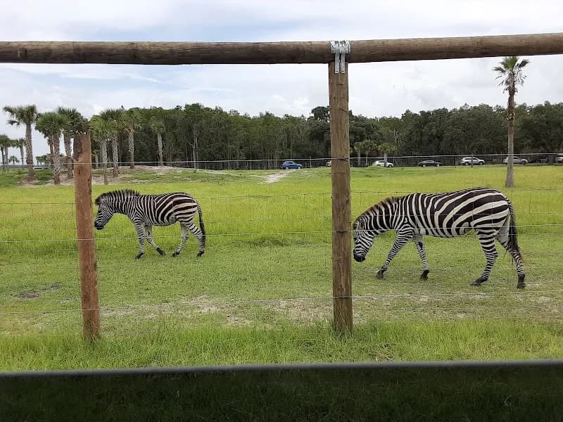 View of Wild Florida Drive-thru Safari Park in St. Petersburg, FL