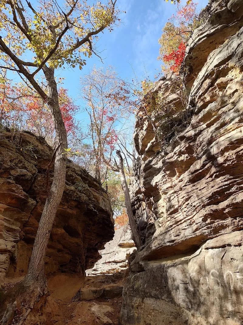 Wildcat Off-Road Park off roading area in Fort Payne, AL