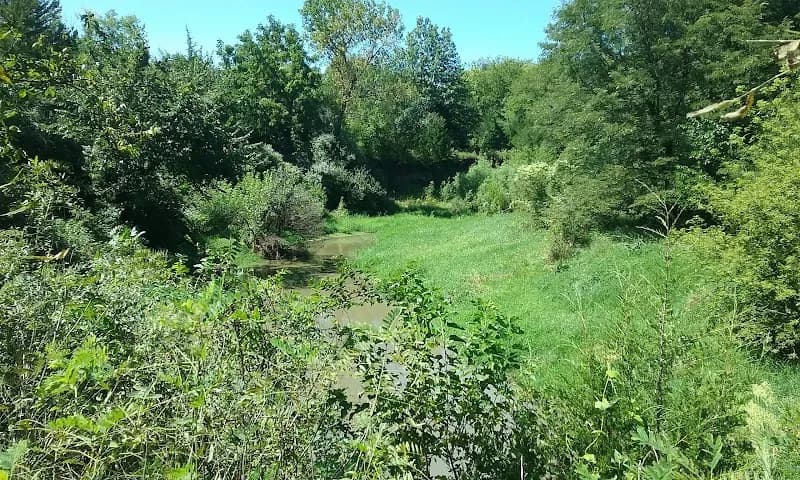 Wilderness Park park in Lincoln, NE