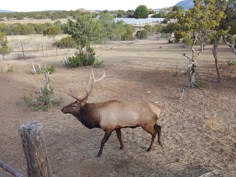 View of Wildlife West Nature Park in Edgewood, NM