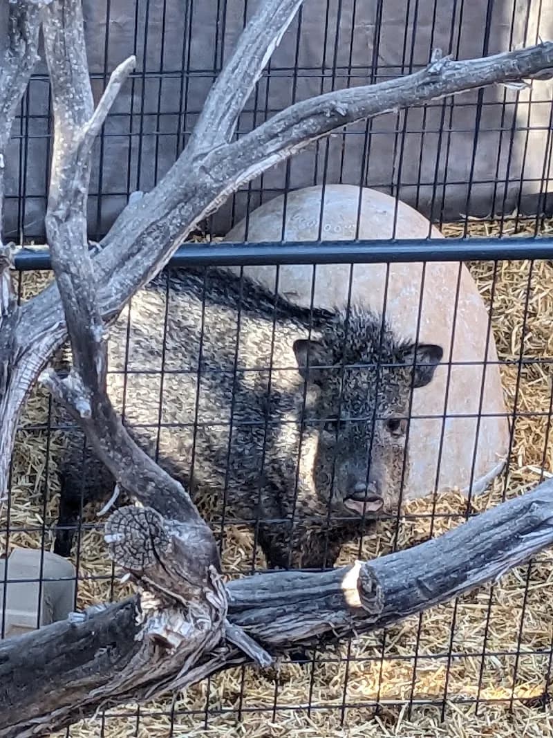 View of Wildlife West Nature Park in Edgewood, NM