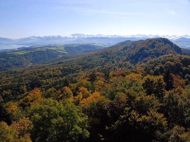 Wildnispark Zürich Sihlwald nature preserve in Zurich, ZH