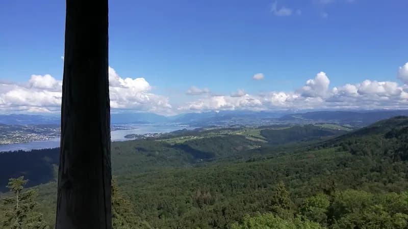 View of Wildnispark Zürich Sihlwald in Zurich, ZH