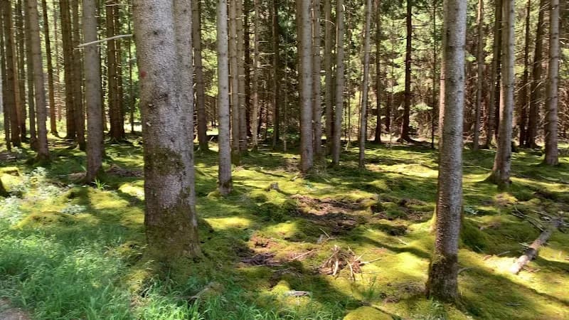 View of Wildpark Forstenried in Neubiberg, BY