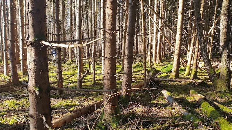 View of Wildpark Forstenried in Neubiberg, BY