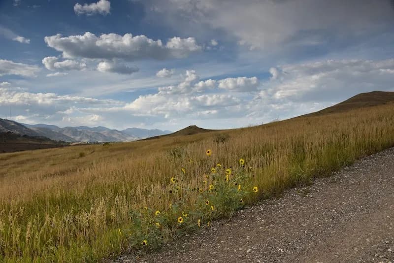 View of William Frederick Hayden Park in Lakewood, CO