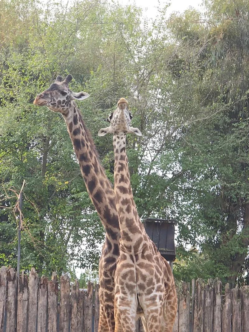 View of William Land Regional Park in East Sacramento, CA