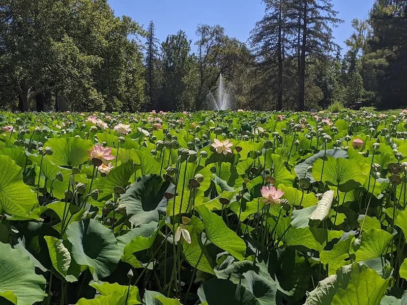 View of William Land Regional Park in East Sacramento, CA