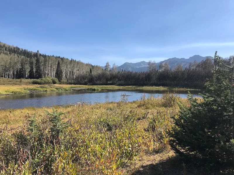 View of Willow Heights in Cottonwood Heights, UT
