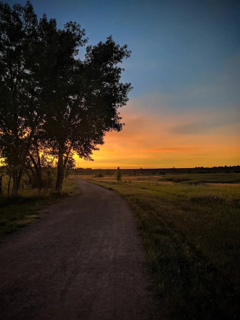View of Willow Springs Open Space in Centennial, CO